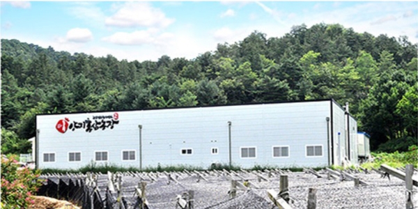 SỰ THẬT ÍT BIẾT VỀ BỨC TRANH THỊ TRƯỜNG HỒNG SÂM TẠI HÀN QUỐC